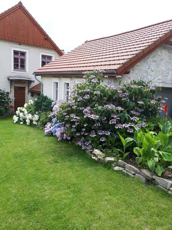 Hortensjowe Wzgorze Myślenice Exterior foto