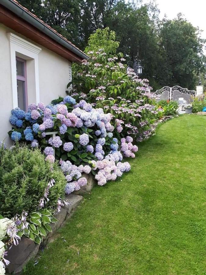 Hortensjowe Wzgorze Myślenice Exterior foto